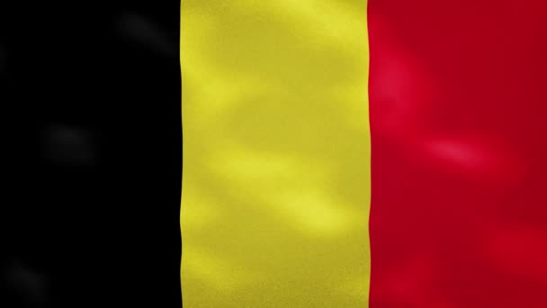 Belgian dense flag fabric wavers, background loop — Stock Video