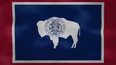 Wyoming yoğun bayrak kumaş dalgalanmaları, arkaplan döngüsü