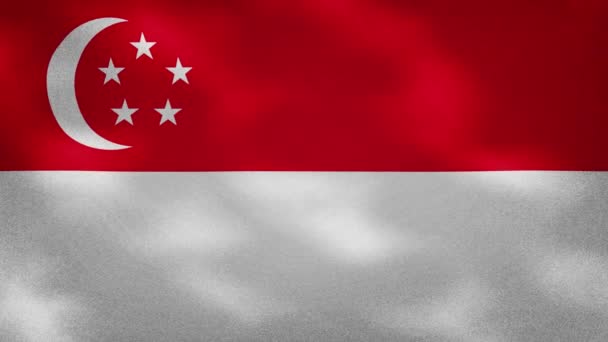 Singapur tela de bandera densa oscila, bucle de fondo — Vídeos de Stock