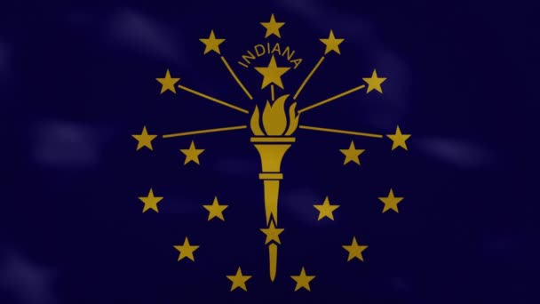 Indiana hustá vlajková tkanina vlnky, pozadí smyčka — Stock video