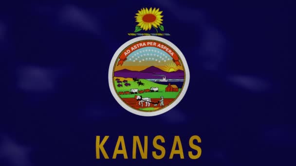 Drapeau dense du Kansas onduleurs de tissu, boucle de fond — Video