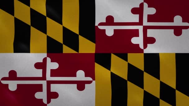 Maryland gęste fale tkanin flagowych, pętla tła — Wideo stockowe