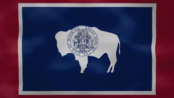 Wyoming yoğun bayrak kumaş dalgalanmaları, arkaplan döngüsü — Stok video