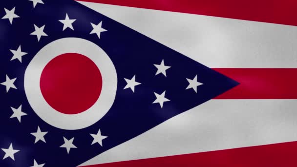 Ohio yoğun bayrak kumaş dalgalanmaları, arka plan döngüsü — Stok video