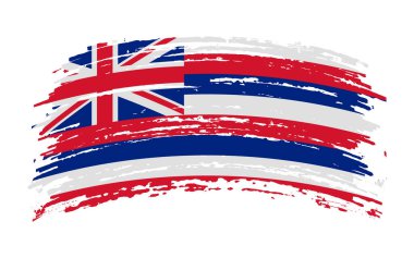 Hawaii Amerikan bayrağı grunge fırça darbesi, vektör görüntüsü