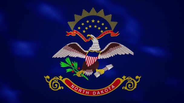 北达科他州浓密的国旗织物摇动，背景图 — 图库视频影像