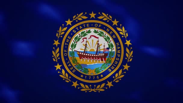 Nuevo Hampshire tela de bandera densa oscila, bucle de fondo — Vídeo de stock