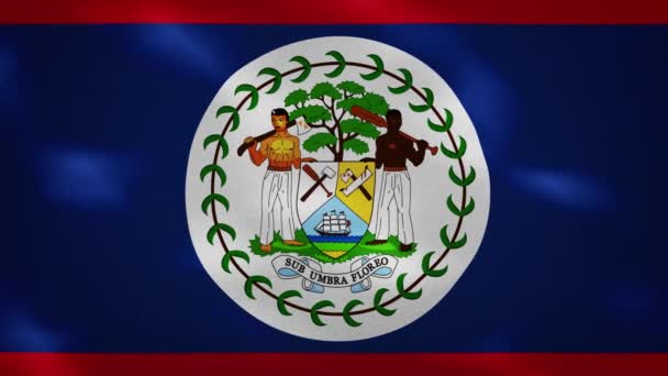 Belize tät flagga tyg vacklar, bakgrund loop — Stockvideo