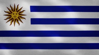 Uruguay 'ın yoğun bayraklı kumaş dalgalanmaları, arka plan döngüsü
