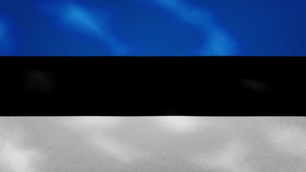 Колебания ткани флага Эстонии, петля заднего плана — стоковое видео
