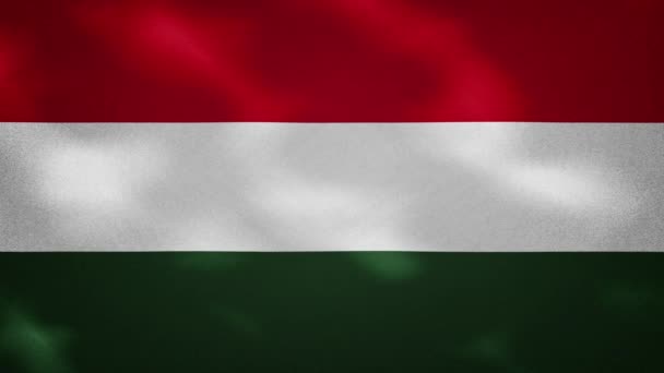 Macar yoğun bayraklı kumaş dalgalanmaları, arka plan döngüsü — Stok video