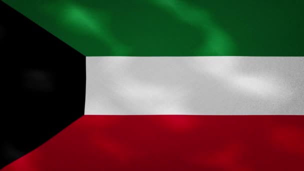 Kuwait tecido bandeira densa wavers, loop de fundo — Vídeo de Stock