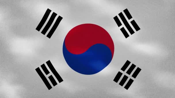 Jižní Korea husté vlajky tkaniny vlnky, pozadí smyčka — Stock video