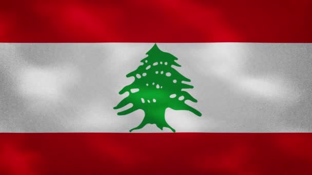 Libańskie gęste fale tkanin flagowych, pętla tła — Wideo stockowe