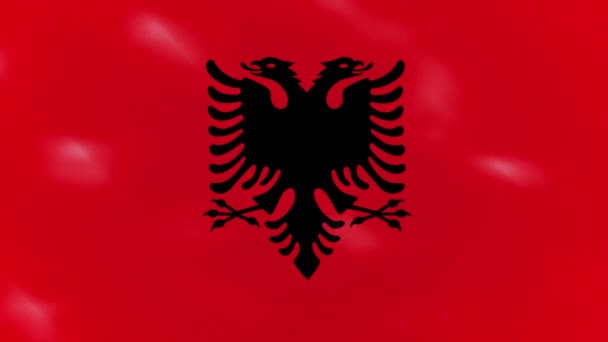 Albanian dense flag fabric wavers, background loop — Stock Video