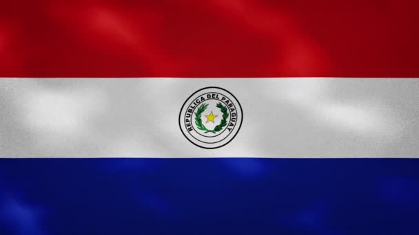 Paraguayaanse dichte vlag stof wavers, achtergrond lus — Stockvideo