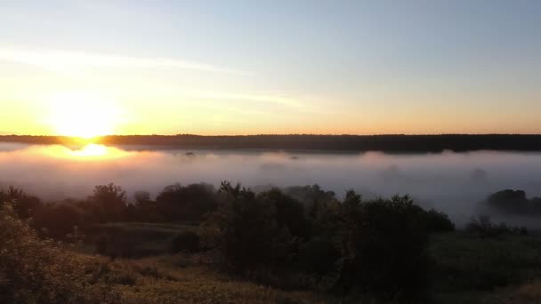 Nevoeiro acima do rio oscila e brilha em raios de sol nascente — Vídeo de Stock