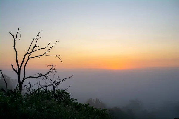 Древесина Фоне Пейзажа Восходом Солнца Тумана — стоковое фото