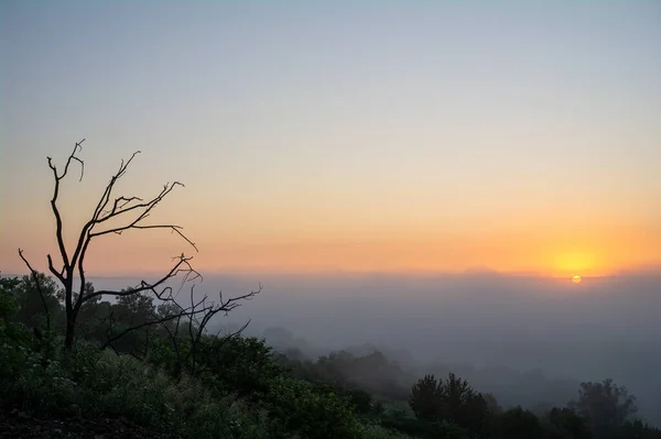 Древесина Фоне Пейзажа Восходом Солнца — стоковое фото