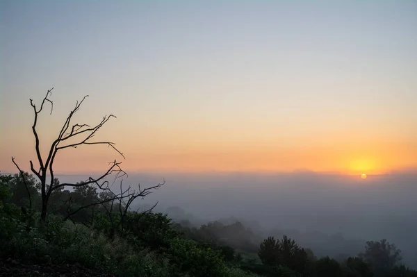 Legname Alla Deriva Sullo Sfondo Paesaggio Con Sole Che Sorge — Foto Stock