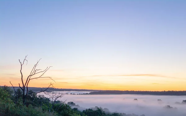 Treibholz Vor Der Kulisse Einer Wunderschönen Naturlandschaft Sonnenaufgang — Stockfoto