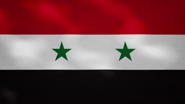 Syrie onduleurs de tissu drapeau dense, boucle de fond — Video