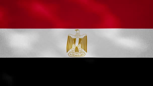 Egyptská hustá vlajková tkanina vlnění, pozadí smyčka — Stock video