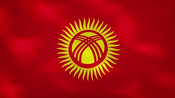 Kyrgyz dense flag fabric wavers, background loop — Stock Video
