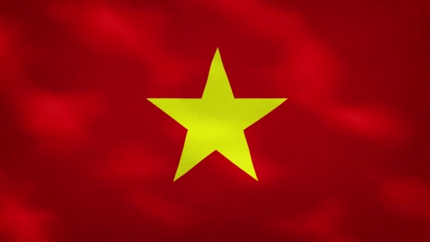 Vietnam tät flagga tyg vacklar, bakgrund loop — Stockvideo