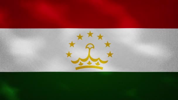 塔吉克斯坦浓密的国旗织物摇动，背景圈 — 图库视频影像