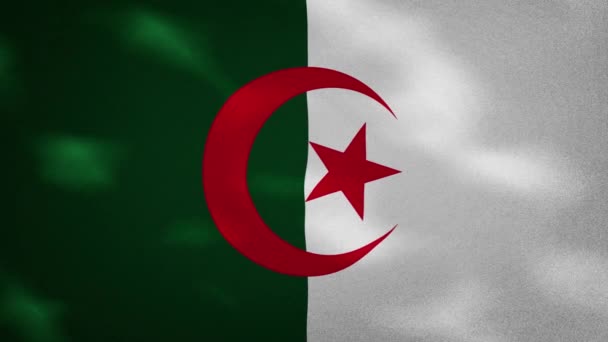 Algeriets täta flagga väv vacklar, bakgrund loop — Stockvideo