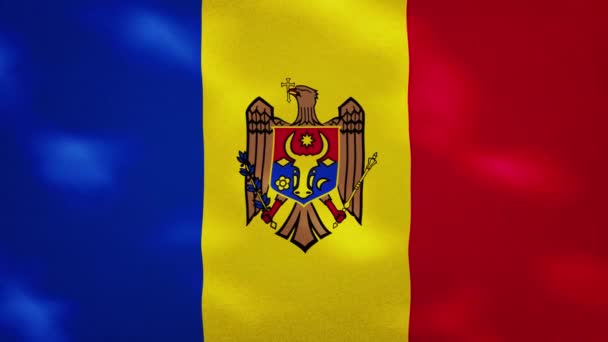 Moldavian dense flag fabric wavers, background loop — Stock Video