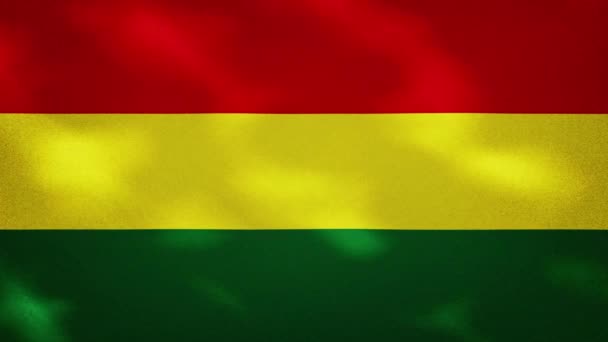 Boliviaanse dichte vlag stof wavers, achtergrond lus — Stockvideo