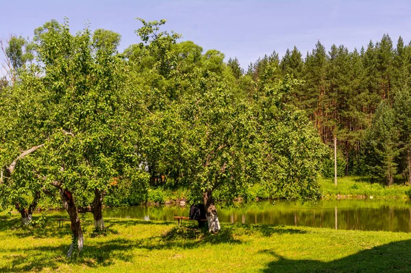 Pond Territory Holy Vvedensky Makaryevsky Zhabyn Monastery Summer — Stock Photo, Image