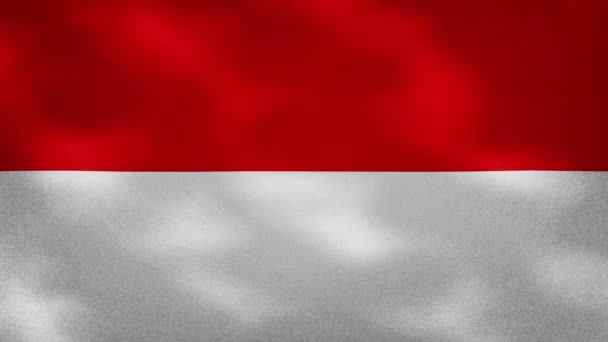 Indonesia tela de bandera densa oscila, bucle de fondo — Vídeo de stock