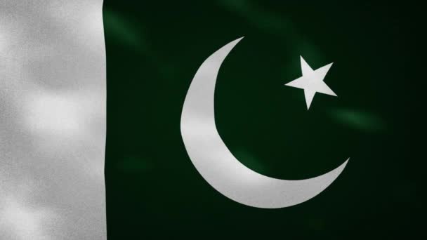 Pakistani dense flag fabric wavers, background loop — Stock Video