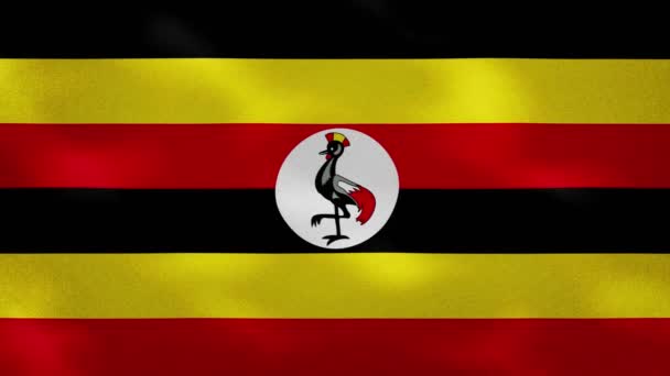 Tela de bandera densa ugandesa vacila, bucle de fondo — Vídeo de stock