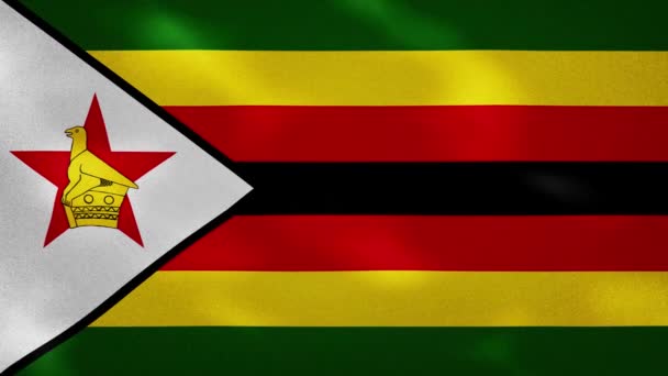Zimbambijská hustá vlajková tkanina se vlní, pozadí smyčka — Stock video