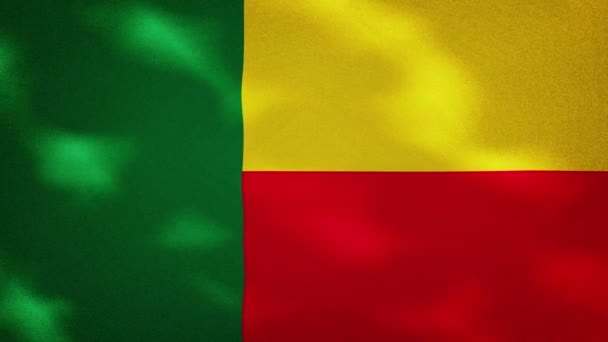 Beninese denso sventola tessuto bandiera, anello di sfondo — Video Stock