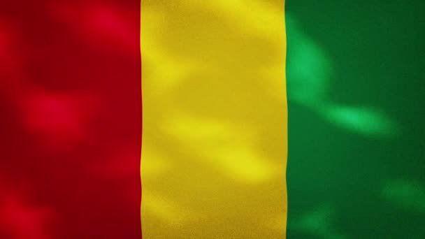 Guinea dense flag fabric wavers, background loop — Stock Video