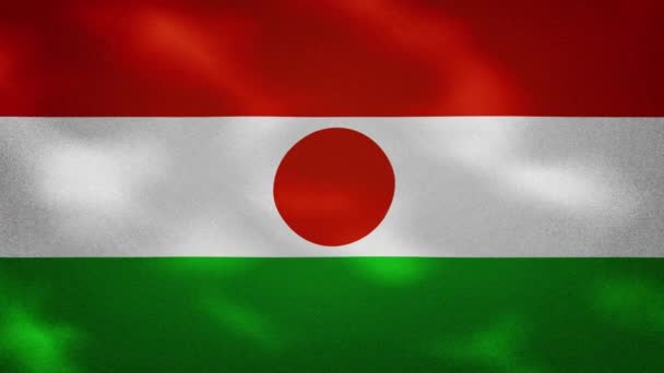 Niger onduleurs de tissu drapeau dense, boucle de fond — Video