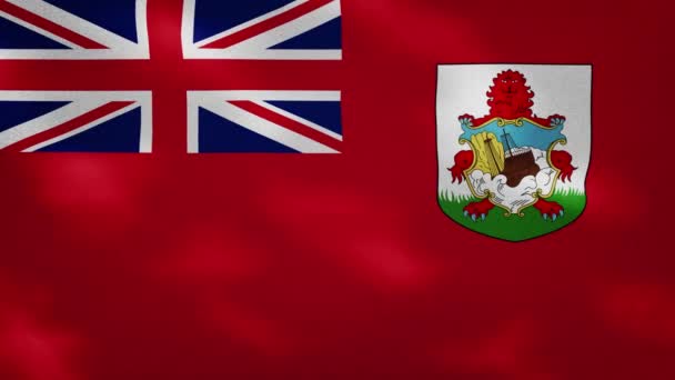 Bermuda tät flagga väv vacklar, bakgrund loop — Stockvideo