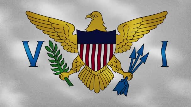 Колебания ткани флага Виргинских островов, фоновая петля — стоковое видео