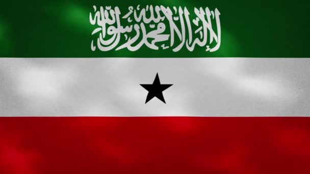 Somalilandia tejido de bandera densa vacila, bucle de fondo — Vídeos de Stock