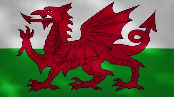 Galles denso sventola bandiera tessuto, anello di sfondo — Video Stock
