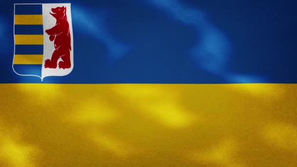 Tela de bandera densa del óblast de Zakarpattia vacila, bucle de fondo — Vídeo de stock