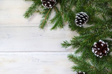 Beyaz ahşap arka plan üzerinde Noel köknar ağacı dalları