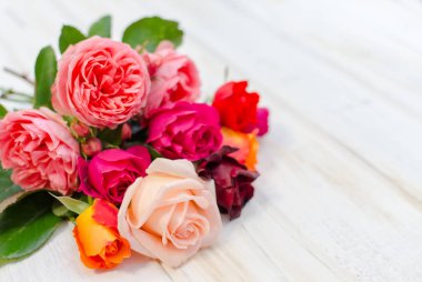 Sevgiliye arka plan ile renkli taze gül.