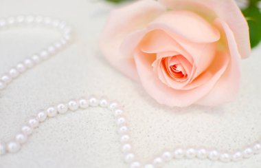 Pembe gül perl boncuk ile. Seçici odak. Anneler ya da Sevgililer günü.