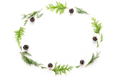 Noel kompozisyon. Köknar ve thuya ağaç dalları ile çam kozalakları beyaz arka plan üzerinde. Kopya alanı.